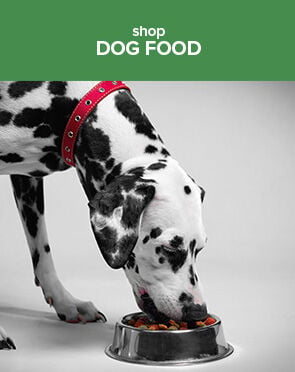 Dog Food